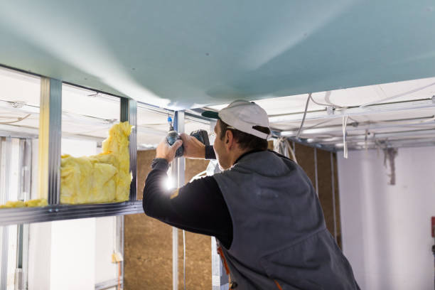 Best Specialized Insulation Services in North Bethesda, MD