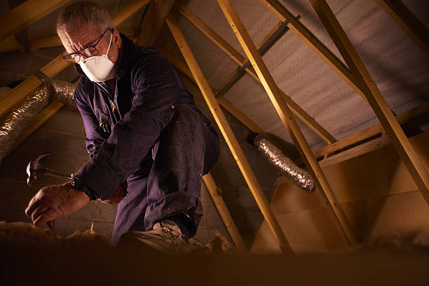 Best Eco-Friendly Insulation in North Bethesda, MD